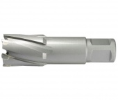 С хвостовиком Weldon 19